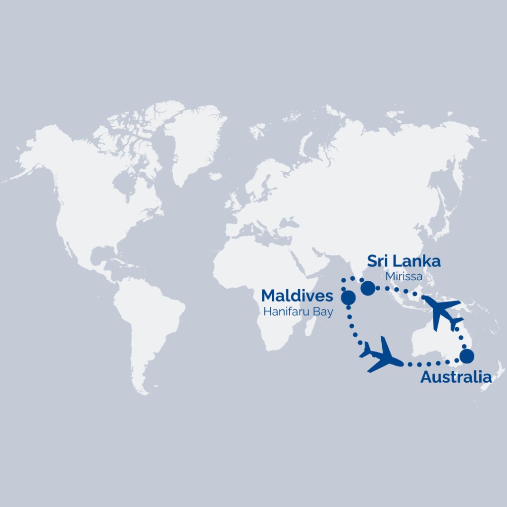 World map showing a blue travel route from Maldives to Australia, with stops near Hanifaru Bay and Mirissa and airplane icons along the dotted path on the right.