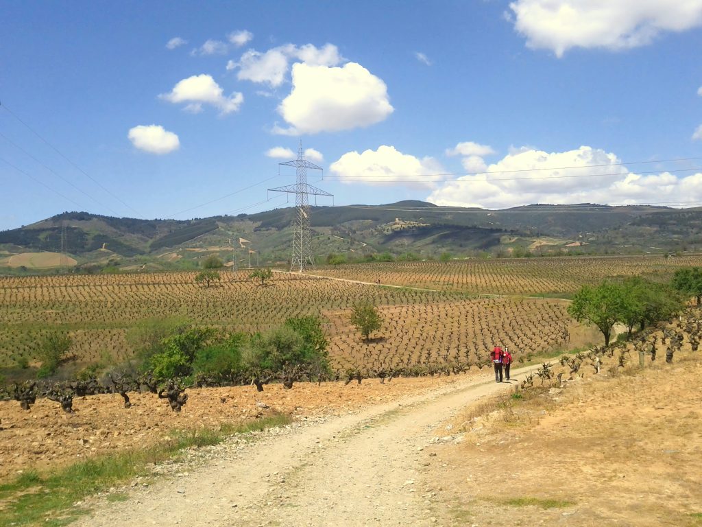 Camino De Santiago, Spain