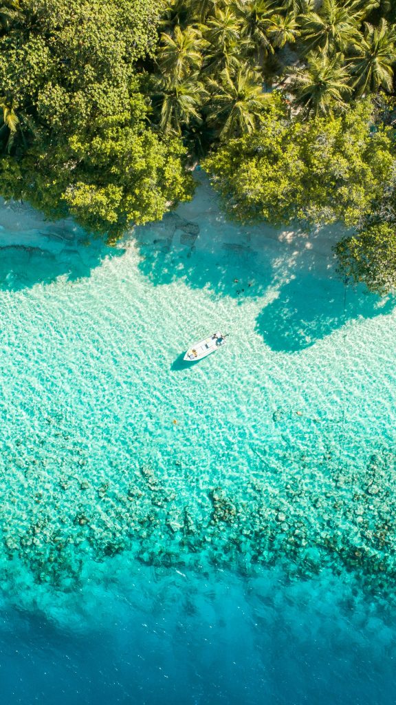 Aerial view of a small white boat in turquoise water near a shoreline dense with green palm trees and tropical vegetation, seen from above.