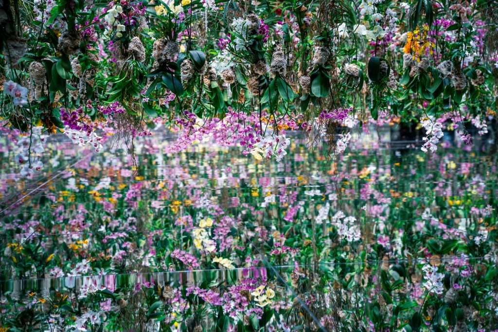 TeamLab Planets, Japan