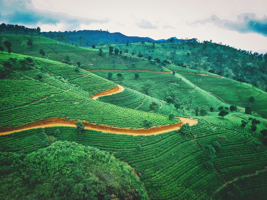 Adventure travel at the Golden Valley of Ceylon, Sri Lanka
