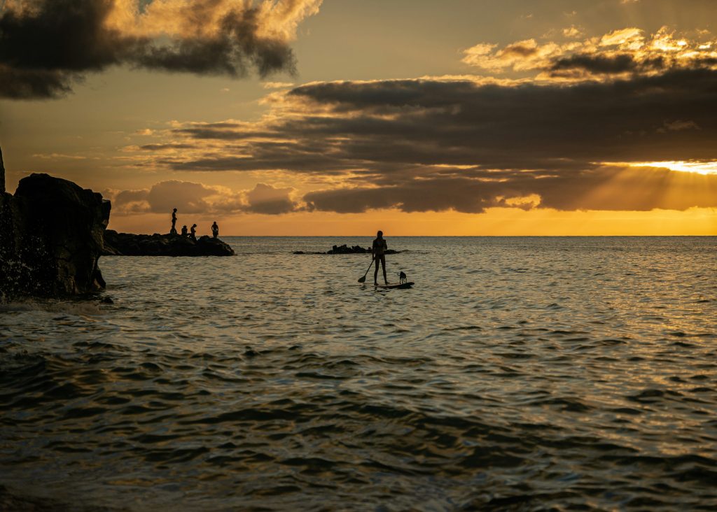 Silhouettes of people on a rocky shore at sunset, with a person paddleboarding and a dog in the foreground over calm water.