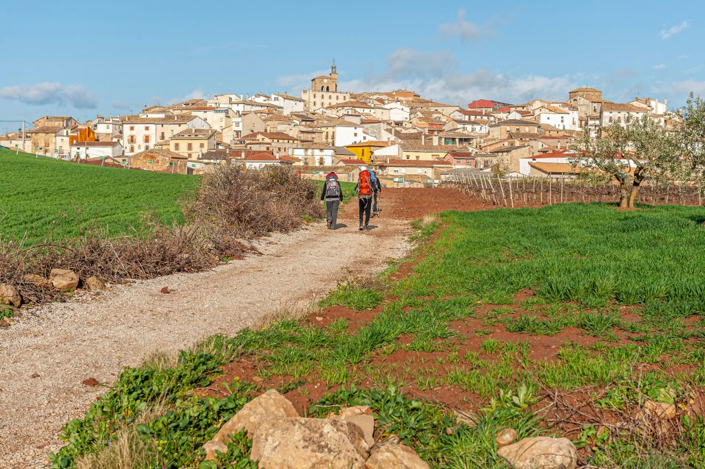 camino de santiago