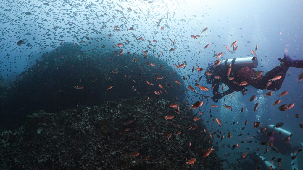 Diving